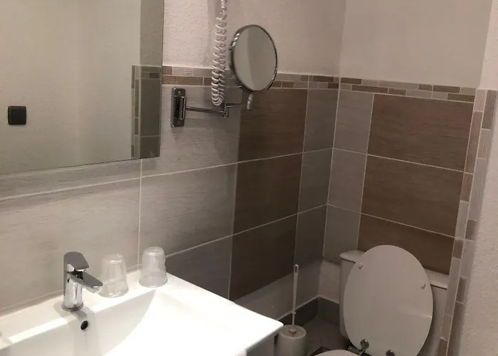 Le Faisan 2* Montluçon